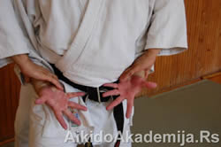 Aikido Ushiro